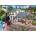 Ravensburger - Puzzle Whistle Stop Cottage - 1 000 piese