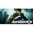 Dark Sector