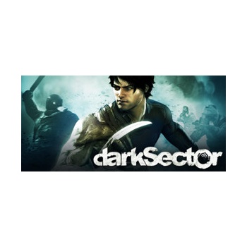 Dark Sector