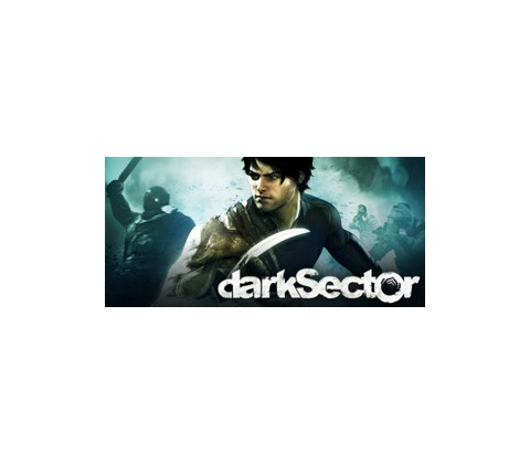 Dark Sector