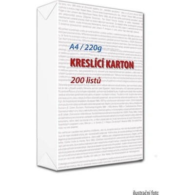 Kreslicí karton A4 220 g 200 ks – Zboží Dáma