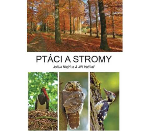Ptáci a stromy