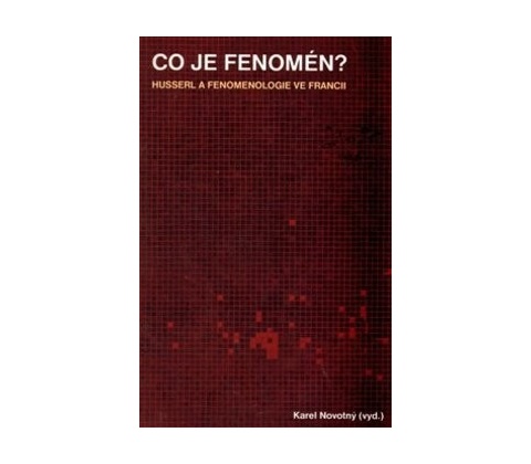 Co je fenomén?