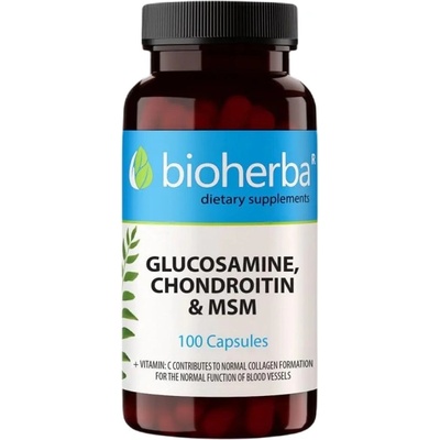 Bioherba Glucosamine & Chondroitin + MSM [100 капсули]