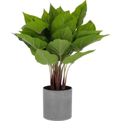 Umelá kvetina Toulitka Kave Home, výška 50 cm