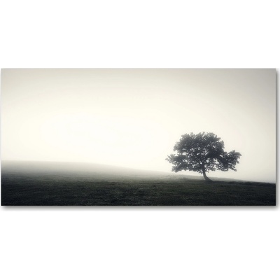 Foto obraz fotografie na skle strom 100x50 cm