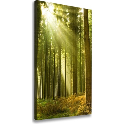 Vertikálny foto obraz na plátne Slnko v lese 50x100 cm