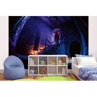 DIMEX ART Самозалепваща се флизелинова фототапета обитавана от духове изба 375 x 250 см