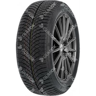 Nankang AW-6 195/55 R16 91V