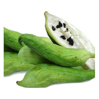 Caigua Caihua Achocha plod 1 kg