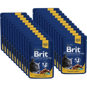 Brit Cat ПИЛЕ и ПУЙКА 24x100г