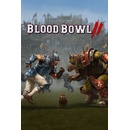 Hry na PC Blood Bowl 2