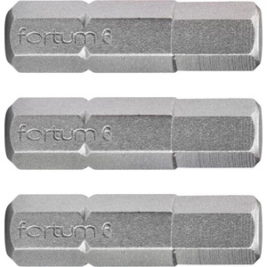 Fortum Комплект от 3 шестостенни накрайника FORTUM, H 6 x 25 мм, S2 4741508 (4741508)