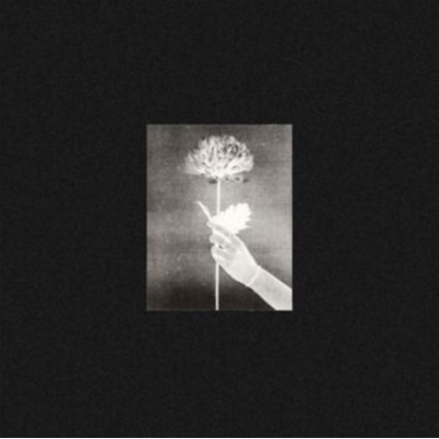 Day By Day White Flowers LP
