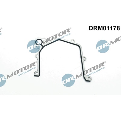Dr.Motor Automotive Těsnění, olejové čerpadlo DRM01178