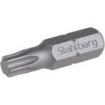 STAHLBERGH Бит stahlberg t40 25 мм s2, 18831 (18831fe)