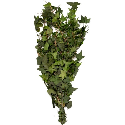 Hedera Helix Mini