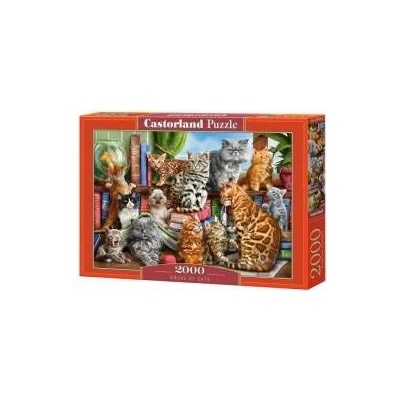 Castorland Puzzle 2000 pcs. House of Cats