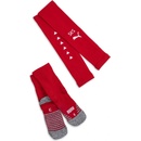 Puma TEAM SKS STACKED socks PROMO