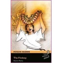 Knihy Fireboy - Stephen Rabley