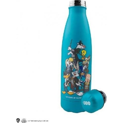 Distrineo Looney Tunes Nerezová láhev Looney Tunes at Hogwarts 500 ml