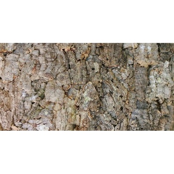 Lucky Reptile Natural Cork Background New drsné 90x60 cm