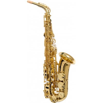 Selmer Axos – Zboží Dáma