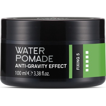 Dandy Water Pomade Anti-Gravity Effect 100 ml