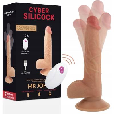 Cyber Silicock Mr John