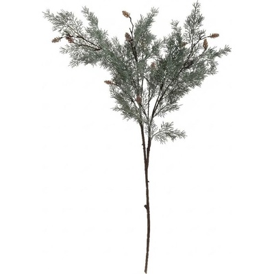 KONÁR TUJA,ŠIŠKY SIVO-ZELENÁ 80CM