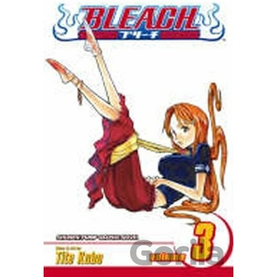 Bleach, Vol. 3