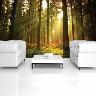 Donga Fototapeta vliesová: Podzimní mlžný les rozmery 368x254 cm