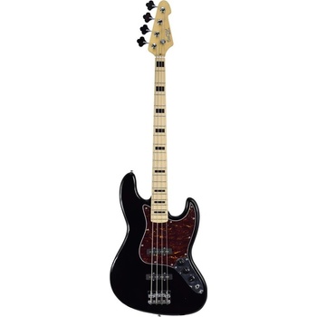 BaCH BBJ-01