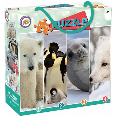 TOY UNIVERSE Zvieratá z Arktídy 4x100 dielov