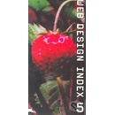Web design Index 5