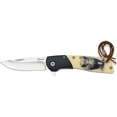 Albainox 25055 diviak
