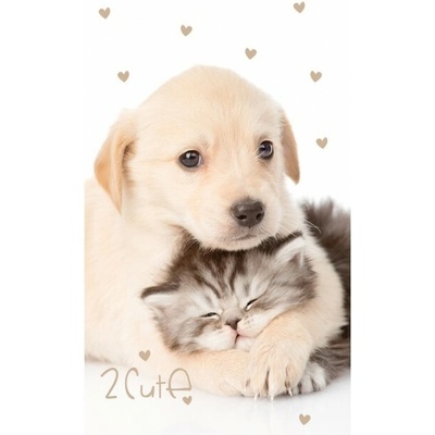 Carbotex detský uterák šteňa a mačiatko 30 x 50 cm