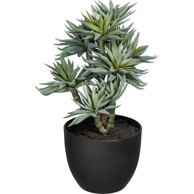 Umelý Sukulent v čiernom kvetináči, 30cm