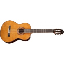 Tanglewood EM D3