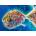 Enjoy - Puzzle Primosten Aerial View, Croatia - 1 000 piese