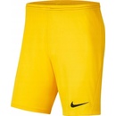 Nike Team