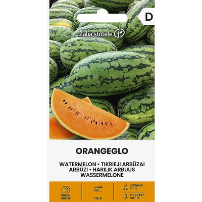 Seklos Диня Портокалова Оранжело Solanum melongena L