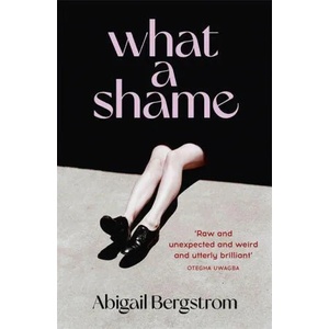 What a Shame | ABIGAIL BERGSTROM (ISBN: 9781529367065)