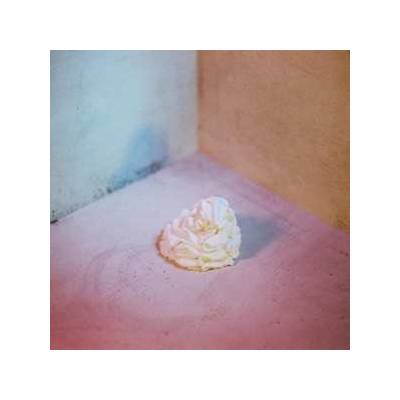 all boy/all girl - Slagroom LP