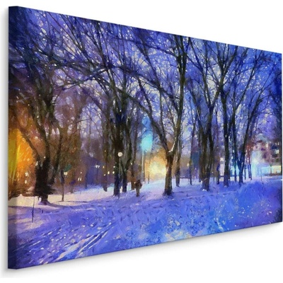 Plátno Zima V Parku Varianta: 90x60