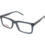 HUGO BOSS HG 1317 PJP