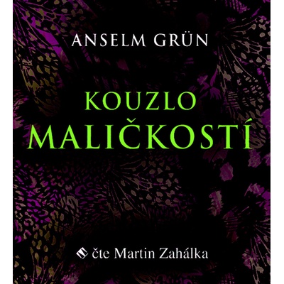Kouzlo maličkostí - Grün Anselm