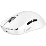 AVAX LW03W_PRO