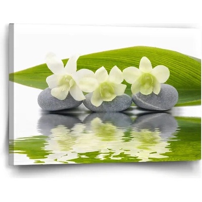 Sablio Obraz Biela orchidea - 60x40 cm