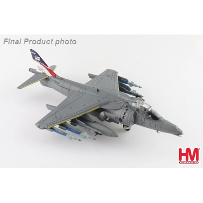 Hobby Master Harrier GR.Mk 9 RNSW ZD406 RAF Cottesmore England 2009 1:72